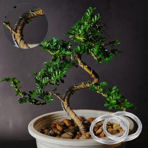 PATIKIL 1.0mm Bonsai Training Wire, 2 Rolls Floral Wire Stems Anodized Aluminum Tree Wire 65.6 Feet Total for Gardening Branch Fixing, Black