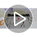 PARAOR 8 pcs High Torque Quartz Clock Movements for Repair - Variation 01