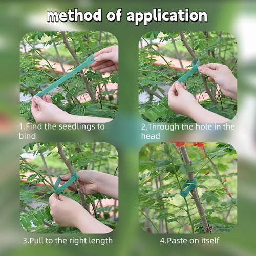 100 Pack Reusable Plant Ties, 6 Inch Adjustable Hook & Loop Garden Straps for Tomatoes, Roses, Vines – Gentle, Weatherproof Plant Support, Multi-Purpose Green Tape for Outdoor & Indoor Use