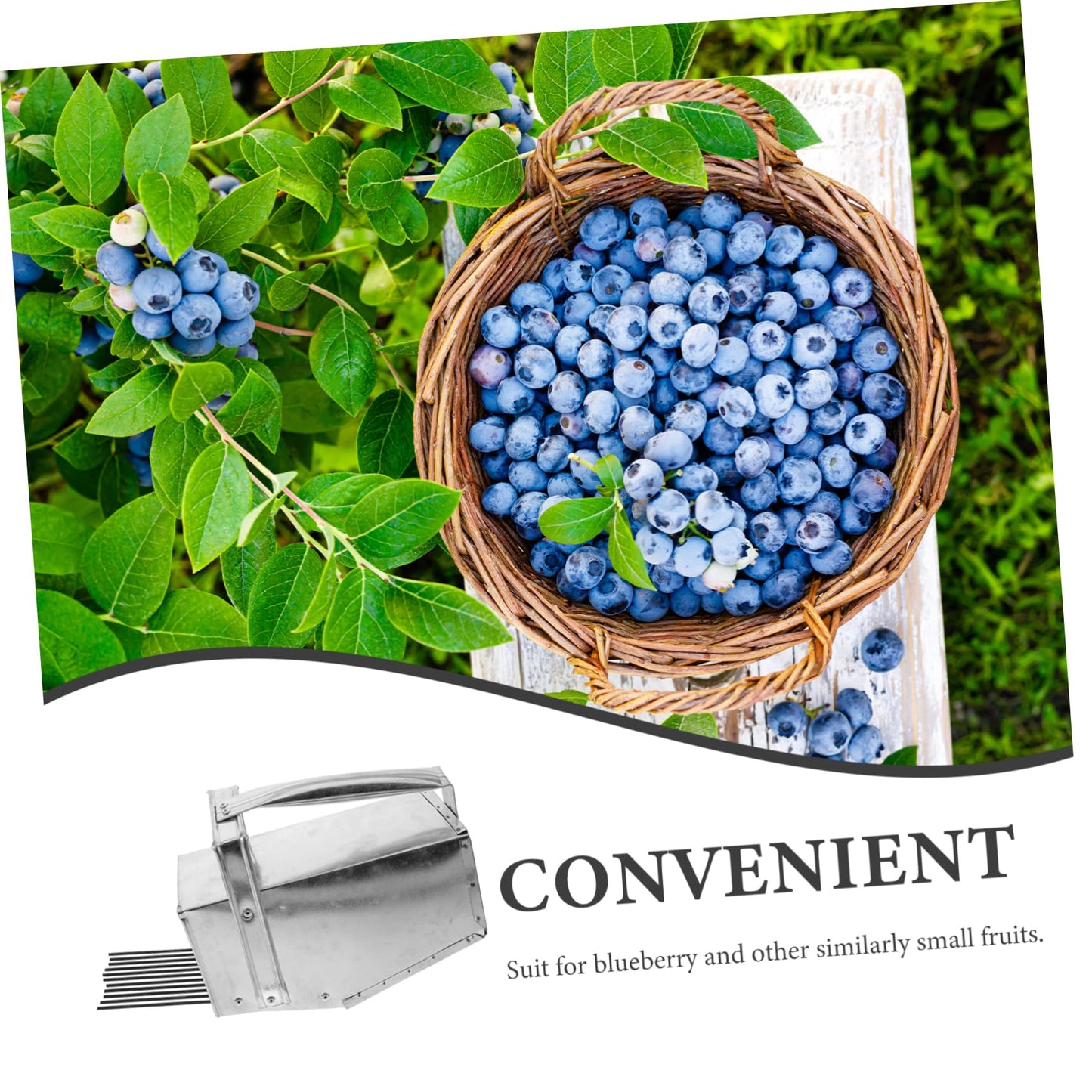 Toddmomy Berry Picker with Ergonomic Handle for Harvesting Blueberry Picker Tool for Outdoor Use for Berry and Garden Tasks