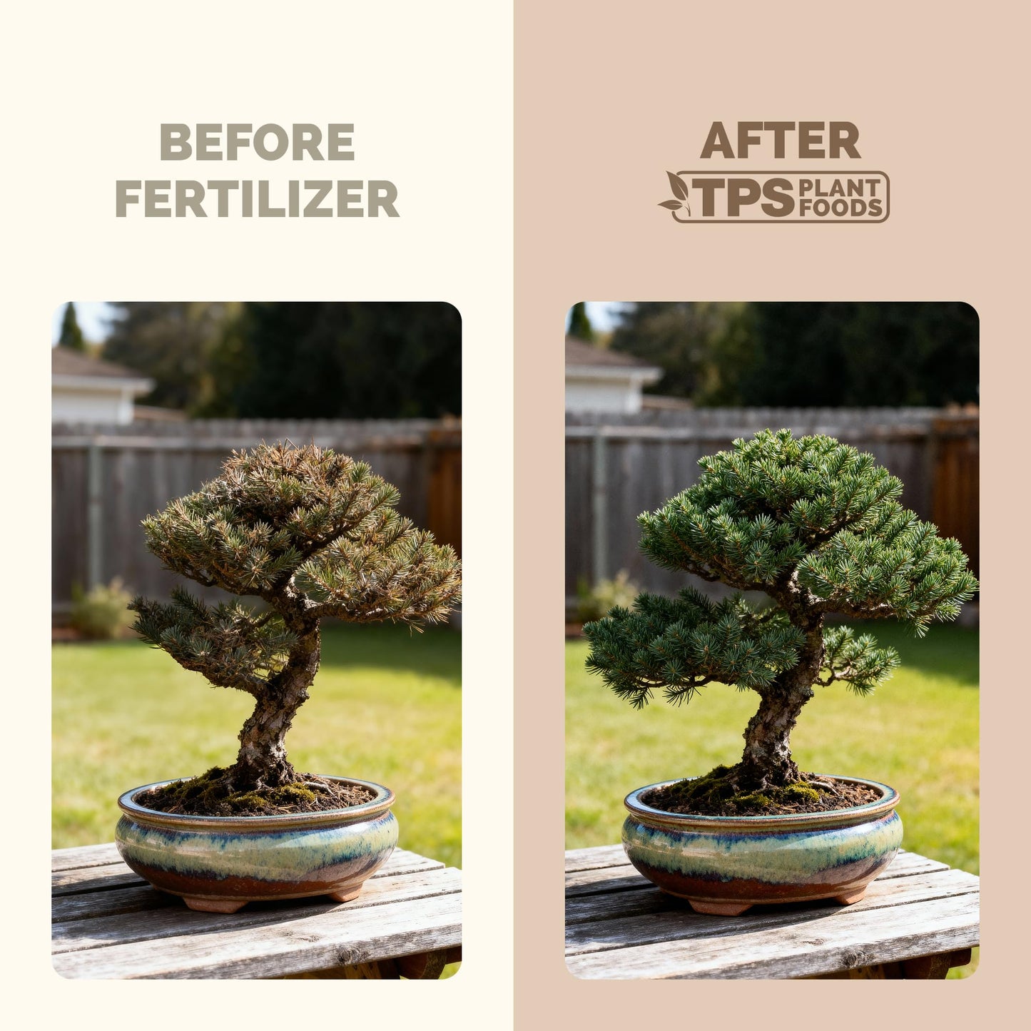 Bonsai Fertilizer – Liquid Plant Food for Healthy Growth, Vibrant Foliage & Stronger Root Development, 8 oz