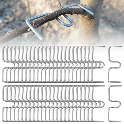 Xoeryoy 50Pcs Fruit Tree Branch Puller 3.15" M-Shaped Tying Machine Farm Tools Sturdy Tree Branch Support Plum Open Angle Pull Stereotyped Bending Tool for Fruit Trees