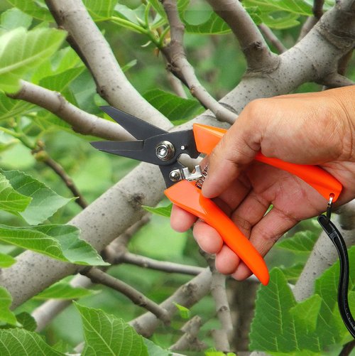 Gardening Scissors, Straight Handle Carded Hoof Trimmers, Multiuse Carbon Steel, for Goats, Sheep, Alpacas, Lambs, and Pigs