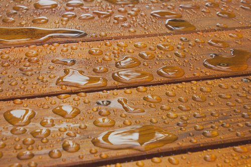 Evolve Wood Stain: Semi-Transparent, UV Protection, for All Wood Surfaces (Honey Gold, 5 Gallon)