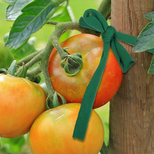 BBTO Green 30 Meter/ 98 Feet Garden Twine Soft Plant Tie Garden String Tree Tie Stretchy Gardening Tape Plant Support for Home Tying Climbing Plants Veggies Flower Supplies Craft(1 Roll)