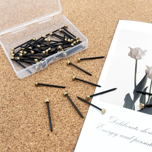 Quacc 50 PCS Black Picture Hanging Nails, Brass Head Hanging Pins with Plastic Storage Box, Picture Nails for Wall Hanging Pictures Photo Frames