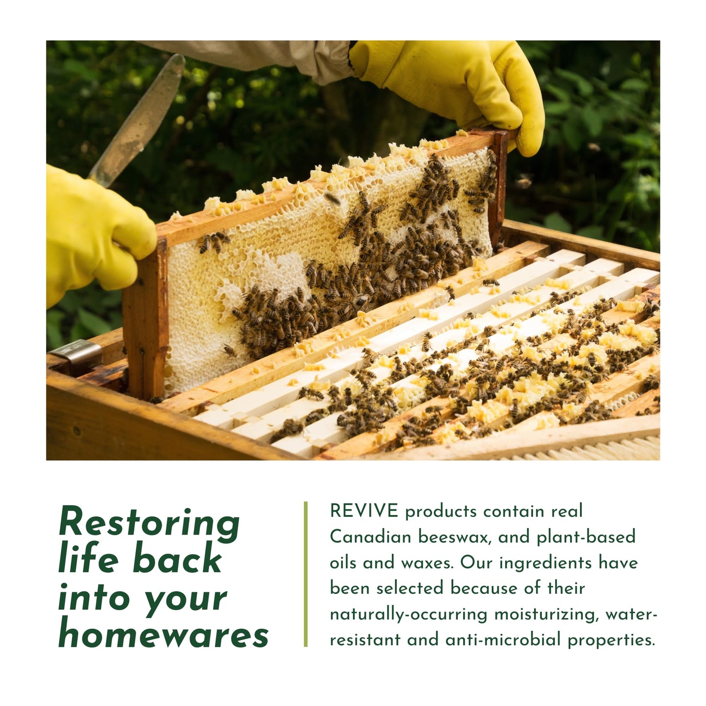 REVIVE Cutting Board Wax – Food Grade Beeswax Wood Conditioner – Butcher Block Wax, Board Butter & Cutting Board Oil Natural Blend with Canadian Beeswax and Coconut Oil 3.4 oz