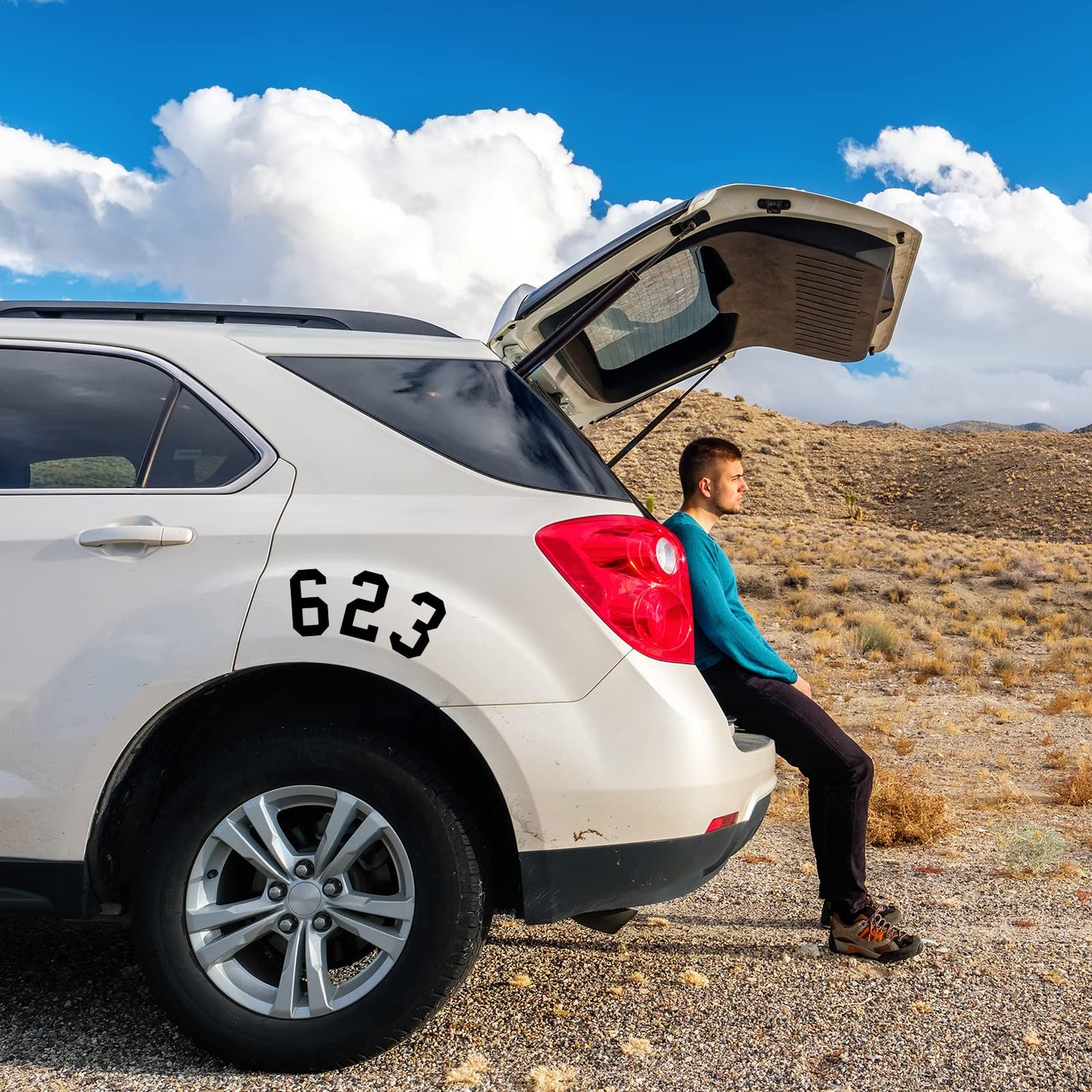 TaoBary 8 Sheets Mailbox Numbers Stickers Waterproof Vinyl Number Stickers Self Adhesive 0-9 Vinyl Decals for Car/Home/Residence(3 Inch,Black)