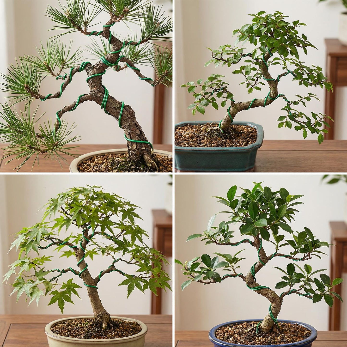 Bonsai Wire Kit, 98 Feet Aluminum Bonsai Tree Training Adjustable Wires Accessories for Holding Branches Wire Bonsai-Tool Set Small Trunks Bonsai-Trees Indoor Garden DIY Tools (3 Colors, 1mm, 30m)