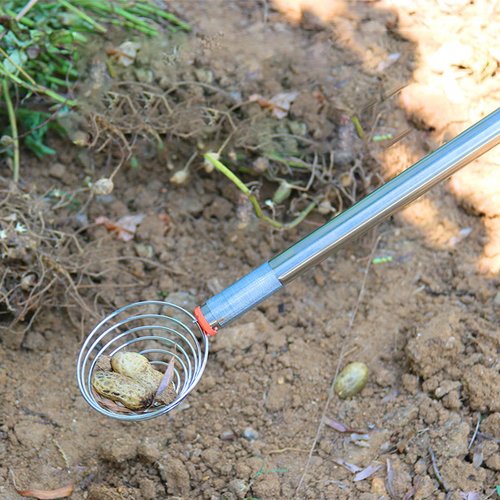 Peanut Picker, Egg Grabber, Multifunctional Practical Large Diameter Design Peanut Picking Tool Shell Collecting Tool, Outdoor Egg Gathering Tools (Silver)