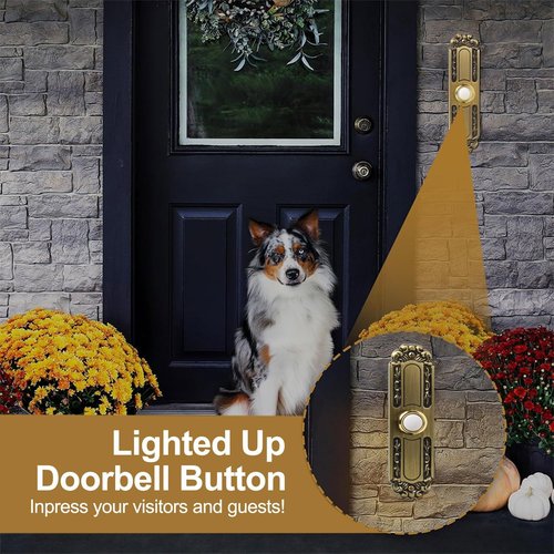 5 Inch Heavy Duty Doorbell Button with Waterproof Design and Antique Bronze Light for All Weather