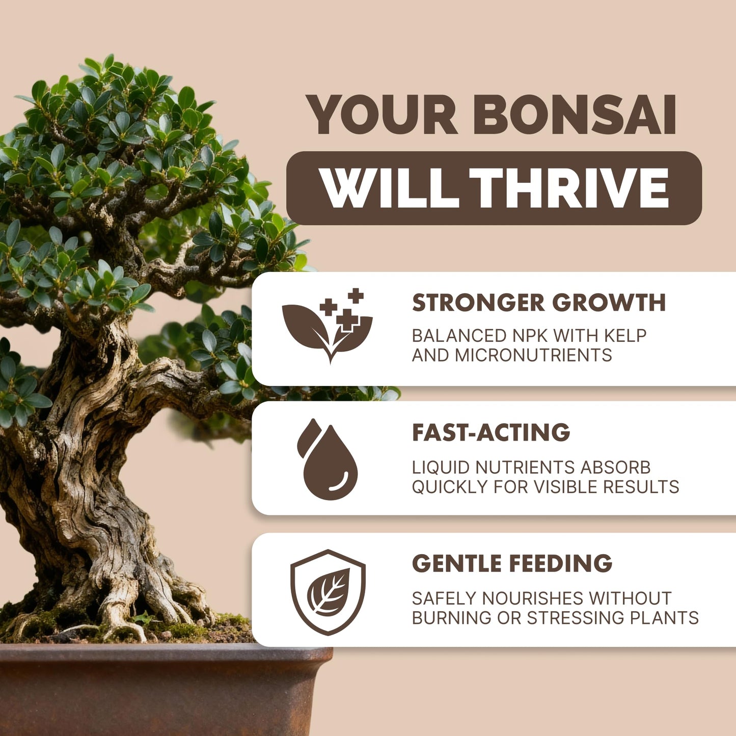 Bonsai Fertilizer – Liquid Plant Food for Healthy Growth, Vibrant Foliage & Stronger Root Development, 8 oz