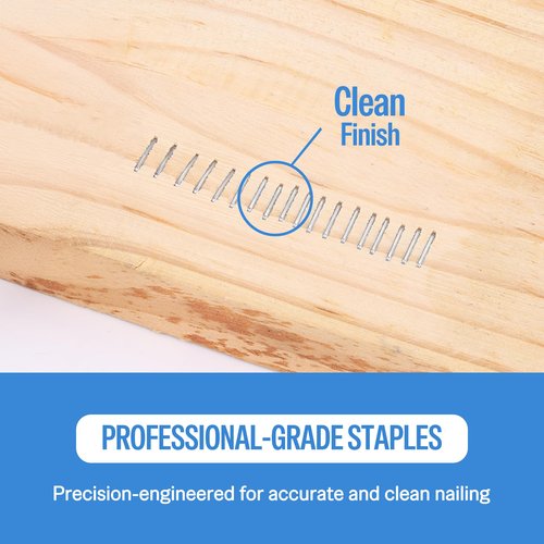 meite 71/06 22 Gauge 71 Type 3/8-Inch Crown 1/4-Inch Leg Length Galvanized Upholstery Staples for Fine Wire Staplers (10,020 Counts)