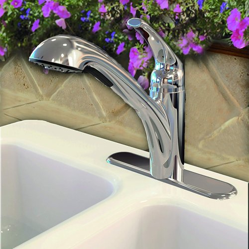 Danco 10408 Pullout Kitchen Spray Head, Chrome