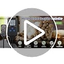 DIGITEN Humidity Controller with Temperature Display for Reptile Habitats and Mushrooms