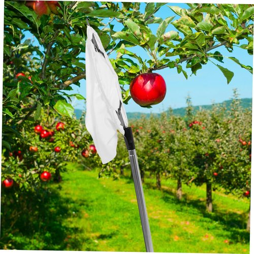 TOYANDONA 1set Extendable Fruit Picker Padded Basket Ergonomic Design for Easy Pear and Citrus Harvesting Adjustable Handle Tool for Efficient