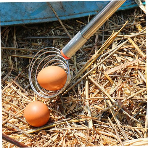 Stainless Steel Nut Collector Picker Upper with Long Handle, Detachable Grabber Tool for Collecting Walnuts, Pecans, Acorns & Small Fruits