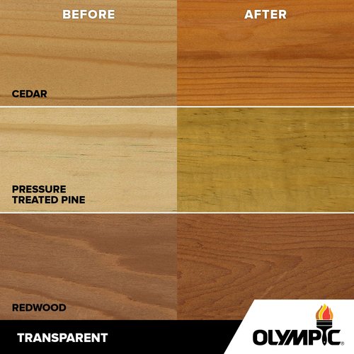 Olympic WaterGuard 11 oz. Clear Exterior Waterproofing Wood Sealer Spray