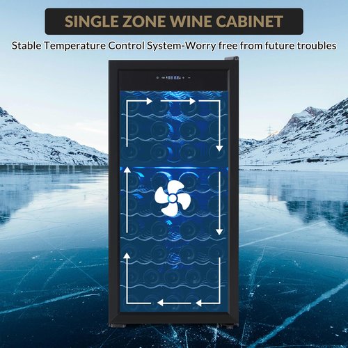 Vossfamul 66 Bottle Freestanding Wine Fridge, Dual Zone Compressor Wine Cooler with 41℉-64℉ Digital Temperature Control, Double Tempered Glass Door, 5.86 Cu.Ft, capacity for Soda Beer Wine