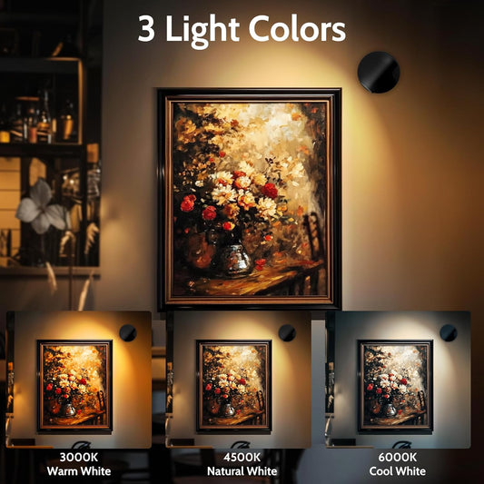 maylit 2 Pack Rechargeable Spotlights Indoor, Battery Operated Tree Lights, Plant Uplighting Picture Light, Wireless LED Accent Lights for Wall Art Display Dartboard Painting Artwork