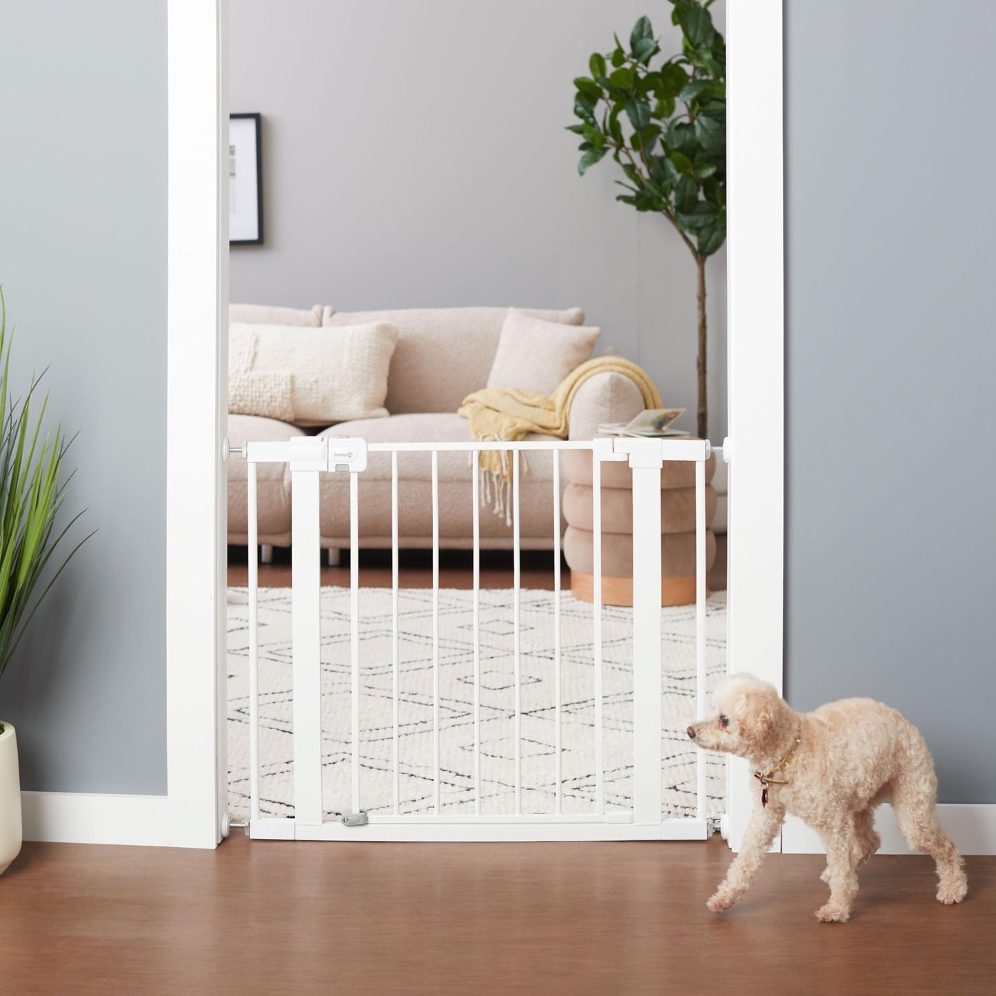 Safety 1st Easy Install Walk Thru Baby Gate for Doorways, Gate With Door, Dog Gates, Fits 29"-38", Easy Install 28" Tall, White