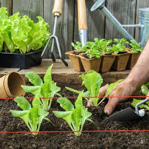 BSRHOME Reloadable Line Reel,Mason Line String Line,600 Ft Length Nylon Twine,18 Braided Nylon String for Gardening Or Masonry Tools,Twine String for Gardening,Yellow