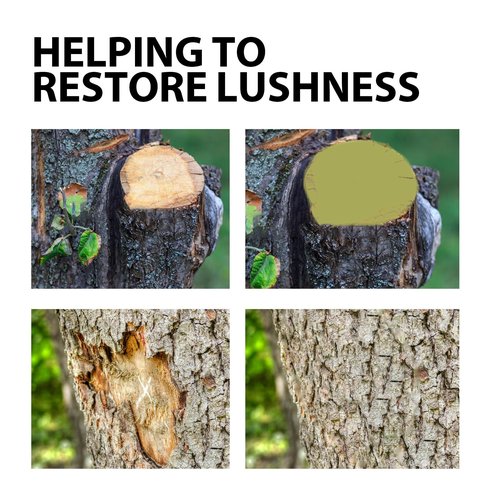 Tree Pruning Sealer, Grafting Wax for Tree and Bonsai, Tree Wound Sealer, Tree Wound Dressing, TreeSealer After Cutting, Tree-Bark Repair, TreeWound Pruning Sealer with Brush (1 Bottle, 3.6oz)