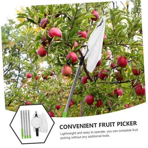 TOYANDONA 1set Extendable Fruit Picker Padded Basket Ergonomic Design for Easy Pear and Citrus Harvesting Adjustable Handle Tool for Efficient