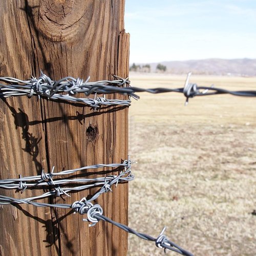 AccEncyc Wire Staples Steel Fence Staple Nails U Shaped Nails 1'' U Staples for Fencing, Wire Mesh (270 Pcs)