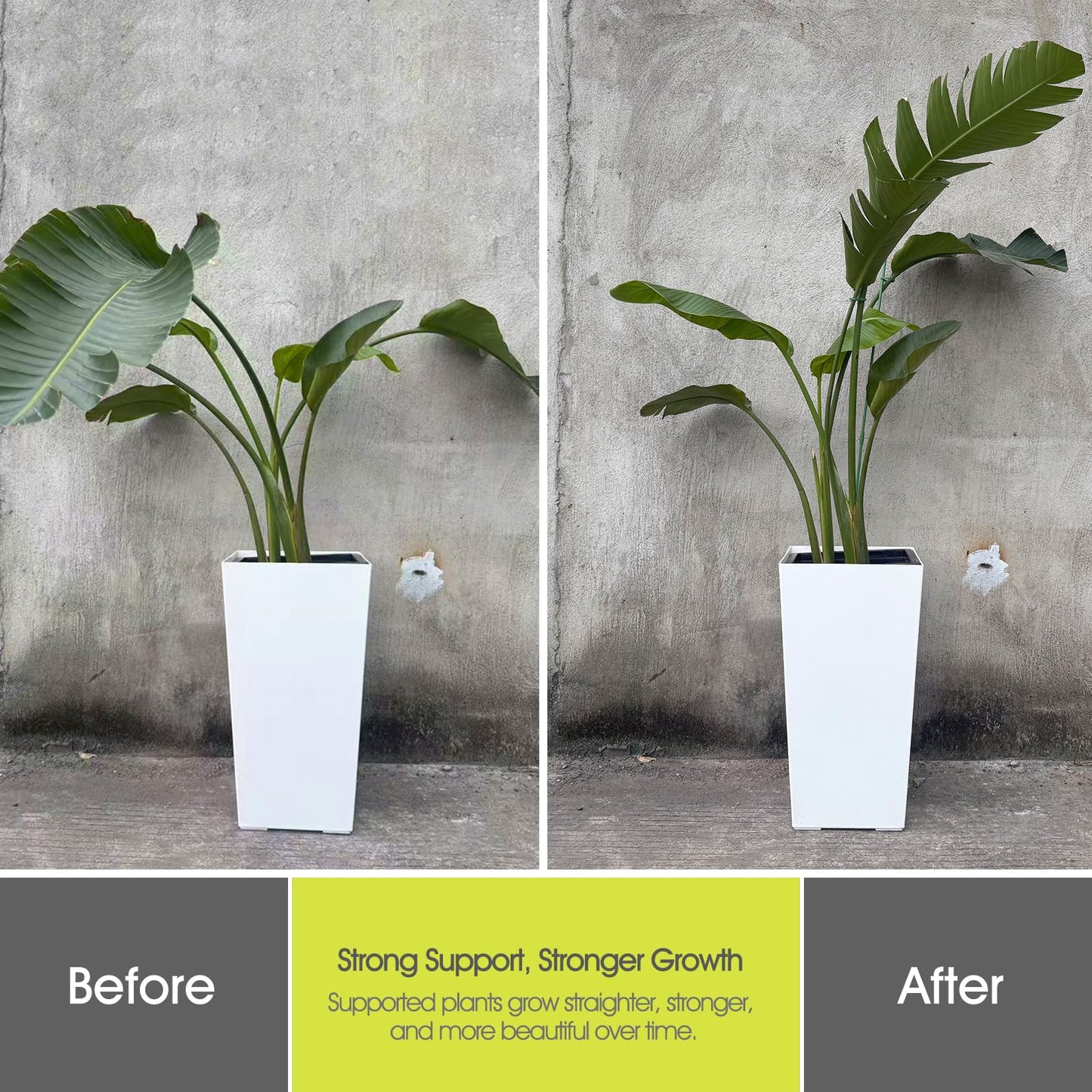 RIFNY Plant Stakes for Indoor Plants, 14 Inch Plant Support Stakes with Clips, Tall Adjustable Plant Sticks for Indoor Monstera Tomato Orchid Potted Plants Flower (6 PCS, Green)