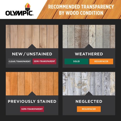 Olympic WaterGuard 11 oz. Clear Exterior Waterproofing Wood Sealer Spray
