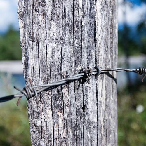 AccEncyc Wire Staples Steel Fence Staple Nails U Shaped Nails 1'' U Staples for Fencing, Wire Mesh (270 Pcs)