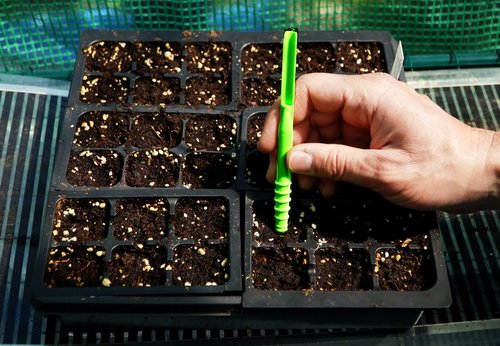 Dibby Seed Sowing Garden Tool Dibber Planter Transplanter – Sow Seeds at the Right Depth – Easily Transplant Delicate Seedlings (Little Dibby) Green