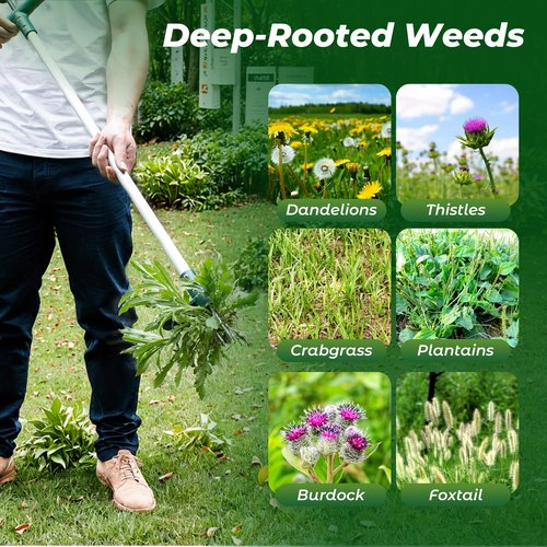 Walensee Weed Puller, Stand Up Weeder Hand Tool, Long Handle Garden Weeding Tool with 3 Claws, Hand Weed Hound Weed Puller for Dandelion, Standup Weed Root Pulling Tool and Picker, Grabber (1 Pack)
