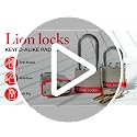 Lion Locks 24-Keyed Alike Padlocks with 2-inch Long Shackle - Outdoor & Indoor Security, Hardened Steel, Pick-Resistant Brass Cylinder, 48 Keys - Long Shackle 24-Pack