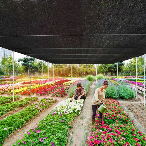 Shade Cloth - 70-90% Sunblock Net for Garden Patio,Shade Sails for Plants Greenhouse Outdoor Pergola Lawn Swimming Pool Sun Shade Cloths for Kennel Chicken Coop Easier to Hang Shade Net Cover