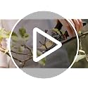 Gerossi Heavy Duty Bypass Pruning Shears 7-inch Garden Hand Pruners