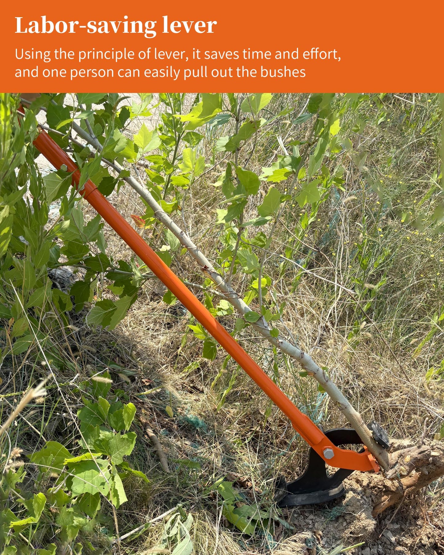 CGENWDCH Large Size Sapling Puller, Heavy-Duty High-Leverage Tree Puller Tool, Fully Uproots Woody Stems ¼ inch - 2 inches, Suitable for Trees, Shrubs, Vines and Thorns with Large Root Systems