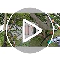 VEVOR Pro Extendable Pole Saw with Scissors - 7.3 to 27 ft Tree Pruner & Branch Trimmer