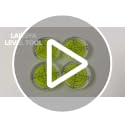 Circular Bubble Level 3-Pack Bullseye Spirit Level 32x7mm for Camera Tripod Telescope
